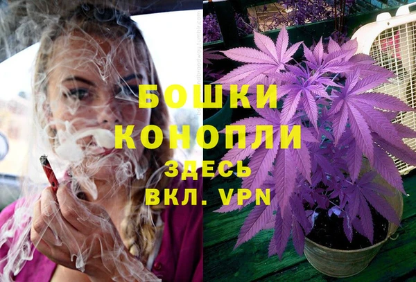 мяу мяу мука Каменка