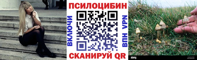 Купить  Солнечногорск  Псилоцибиновые грибы мицелий 